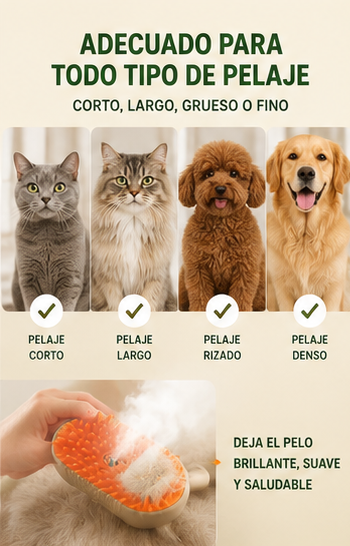 Cepillo de Vapor 3 en 1